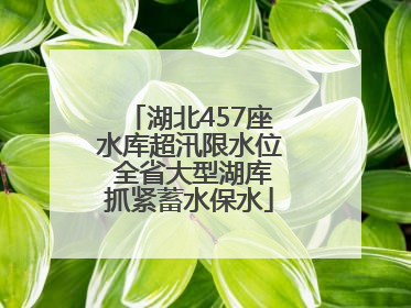 湖北457座水库超汛限水位 全省大型湖库抓紧蓄水保水