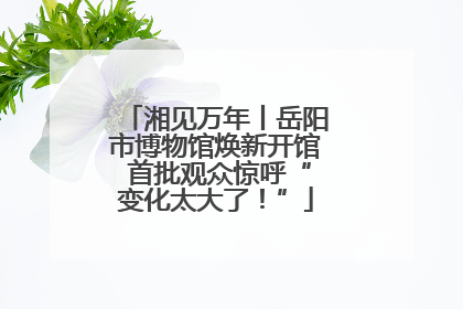 湘见万年丨岳阳市博物馆焕新开馆 首批观众惊呼“变化太大了！”