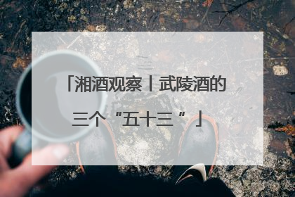 湘酒观察丨武陵酒的三个“五十三 ”