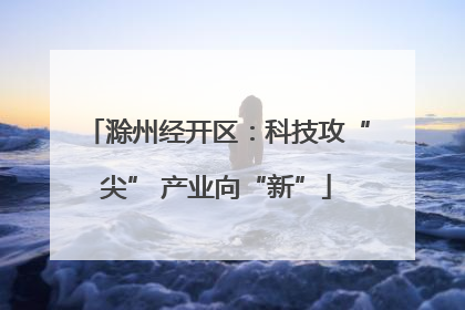 滁州经开区：科技攻“尖” 产业向“新”