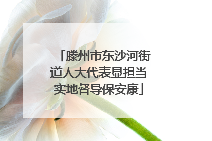 滕州市东沙河街道人大代表显担当实地督导保安康