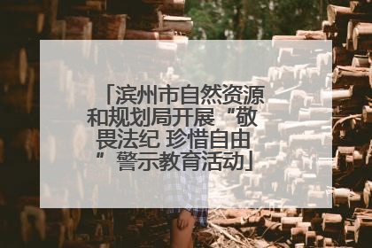 滨州市自然资源和规划局开展“敬畏法纪 珍惜自由”警示教育活动