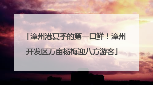 漳州港夏季的第一口鲜！漳州开发区万亩杨梅迎八方游客