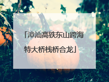 漳汕高铁东山跨海特大桥栈桥合龙