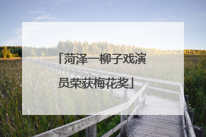 菏泽一柳子戏演员荣获梅花奖