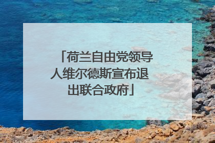 荷兰自由党领导人维尔德斯宣布退出联合政府