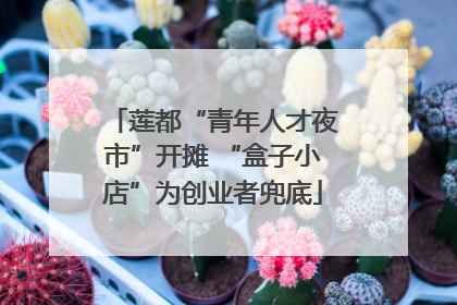 莲都“青年人才夜市”开摊 “盒子小店”为创业者兜底