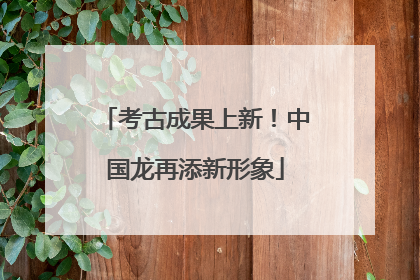 考古成果上新！中国龙再添新形象
