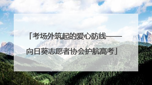 考场外筑起的爱心防线——向日葵志愿者协会护航高考