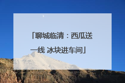 聊城临清：西瓜送一线 冰块进车间