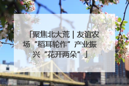 聚焦北大荒｜友谊农场“稻耳轮作”产业振兴“花开两朵”