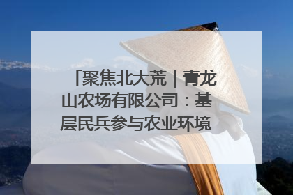 聚焦北大荒｜青龙山农场有限公司：基层民兵参与农业环境综合治理显效