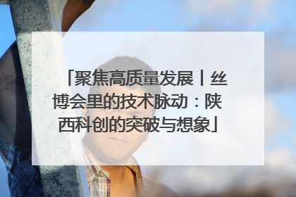 聚焦高质量发展丨丝博会里的技术脉动：陕西科创的突破与想象