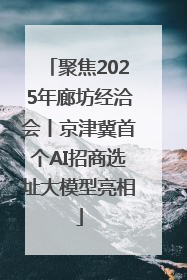 聚焦2025年廊坊经洽会丨京津冀首个AI招商选址大模型亮相