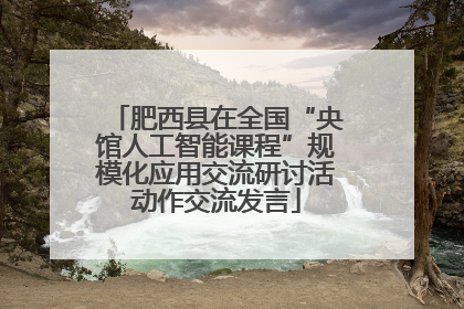 肥西县在全国“央馆人工智能课程”规模化应用交流研讨活动作交流发言