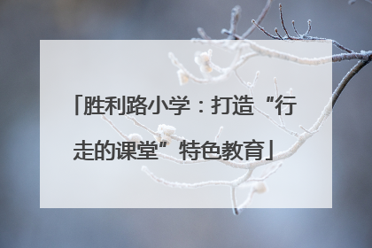 胜利路小学：打造“行走的课堂”特色教育