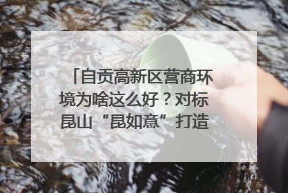 自贡高新区营商环境为啥这么好？对标昆山“昆如意”打造自贡“高兴办”｜美好生活有“盐”味