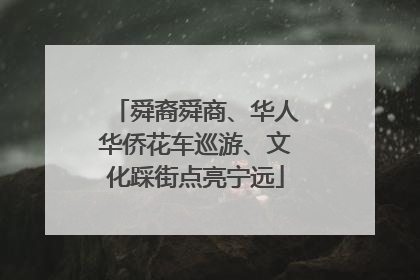 舜裔舜商、华人华侨花车巡游、文化踩街点亮宁远