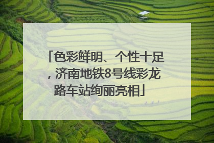 色彩鲜明、个性十足，济南地铁8号线彩龙路车站绚丽亮相