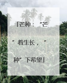 芒种：“芒”着生长，“种”下希望