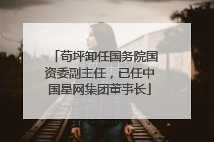 苟坪卸任国务院国资委副主任，已任中国星网集团董事长