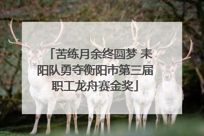 苦练月余终圆梦 耒阳队勇夺衡阳市第三届职工龙舟赛金奖