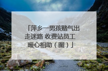 萍乡一男孩赌气出走迷路 收费站员工暖心相助（图）