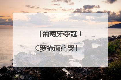 葡萄牙夺冠！C罗掩面痛哭