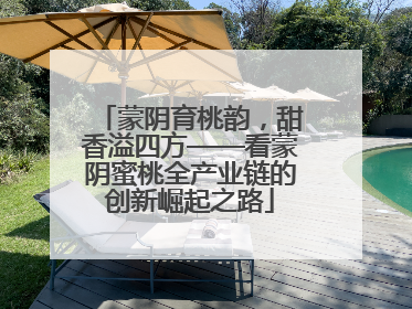 蒙阴育桃韵，甜香溢四方——看蒙阴蜜桃全产业链的创新崛起之路