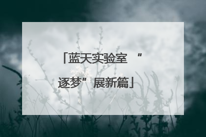 蓝天实验室 “逐梦”展新篇