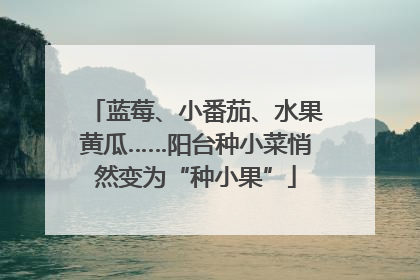 蓝莓、小番茄、水果黄瓜……阳台种小菜悄然变为“种小果”