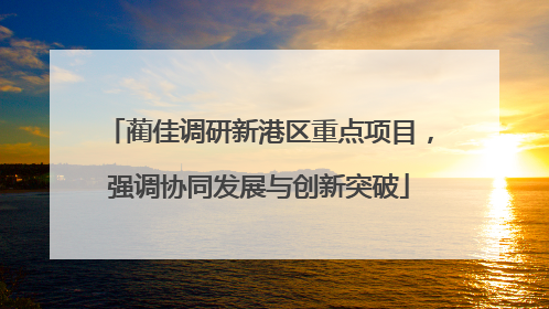 蔺佳调研新港区重点项目，强调协同发展与创新突破