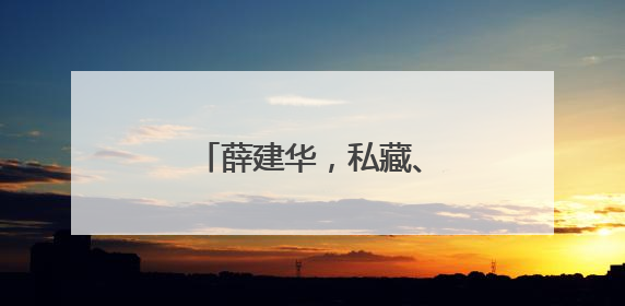 薛建华，私藏、浏览有严重政治问题的网络文章