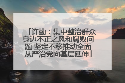 许勤：集中整治群众身边不正之风和腐败问题 坚定不移推动全面从严治党向基层延伸