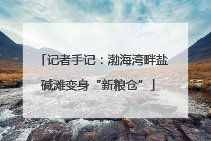 记者手记：渤海湾畔盐碱滩变身“新粮仓”