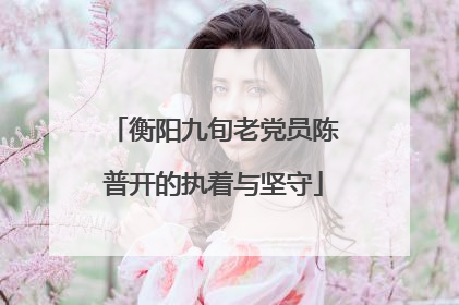 衡阳九旬老党员陈普开的执着与坚守
