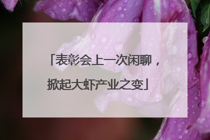 表彰会上一次闲聊，掀起大虾产业之变