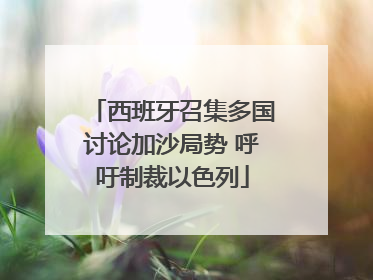 西班牙召集多国讨论加沙局势 呼吁制裁以色列
