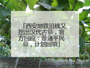 西安地铁沿线又挖出汉代古墓，官方回应：普通平民墓，计划回填