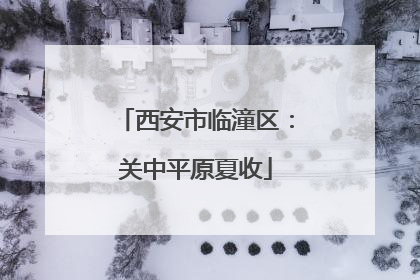西安市临潼区：关中平原夏收