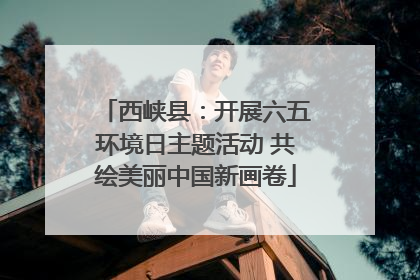西峡县：开展六五环境日主题活动 共绘美丽中国新画卷