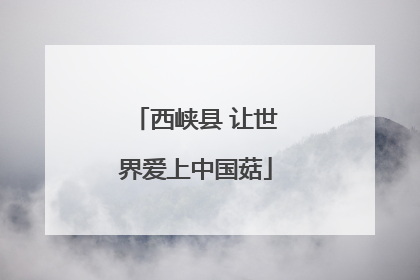 西峡县 让世界爱上中国菇