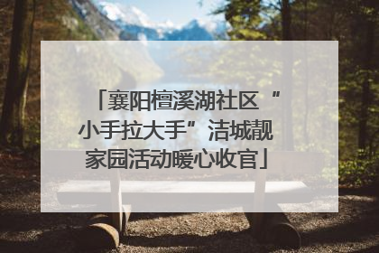 襄阳檀溪湖社区“小手拉大手”洁城靓家园活动暖心收官