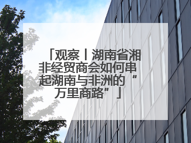 观察丨湖南省湘非经贸商会如何串起湖南与非洲的“万里商路”