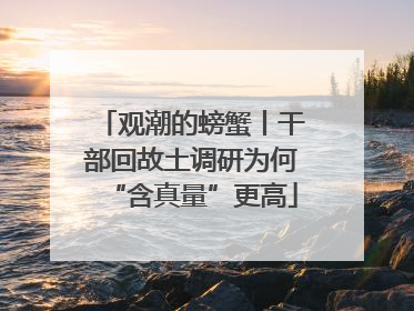 观潮的螃蟹丨干部回故土调研为何“含真量”更高