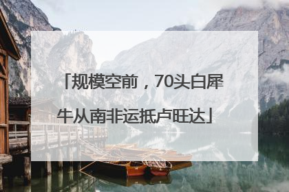规模空前，70头白犀牛从南非运抵卢旺达