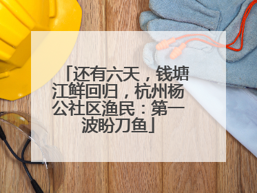还有六天，钱塘江鲜回归，杭州杨公社区渔民：第一波盼刀鱼