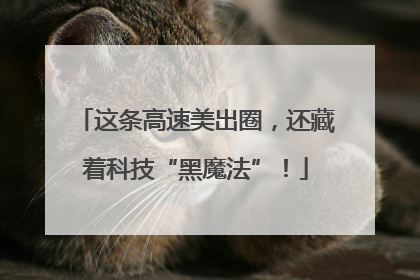 这条高速美出圈，还藏着科技“黑魔法”！