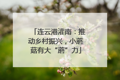 连云港灌南：推动乡村振兴，小蘑菇有大“蘑”力