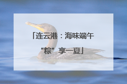连云港：海味端午 “粽”享一夏